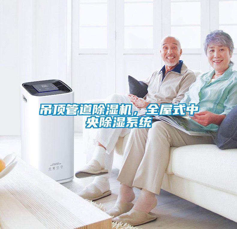 吊頂管道除濕機(jī)，全屋式中央除濕系統(tǒng)