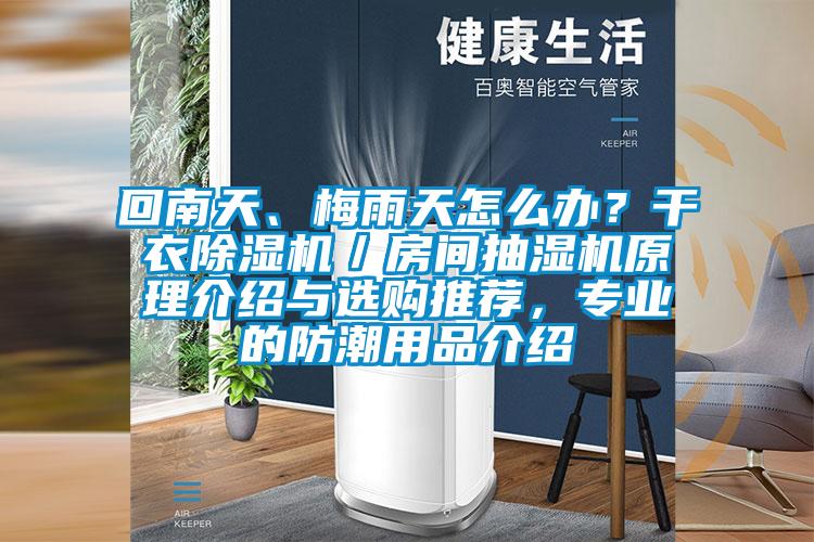 回南天、梅雨天怎么辦？干衣除濕機／房間抽濕機原理介紹與選購推薦，專業(yè)的防潮用品介紹