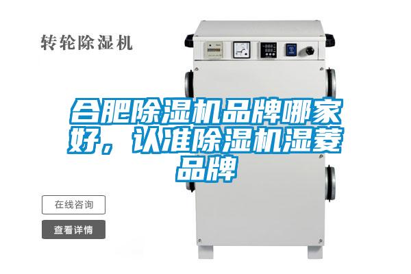 合肥除濕機(jī)品牌哪家好，認(rèn)準(zhǔn)除濕機(jī)濕菱品牌