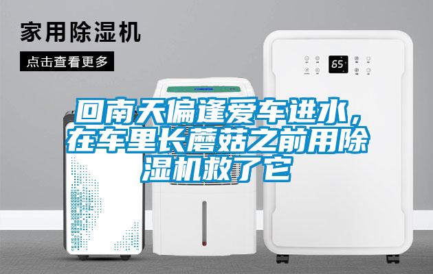 回南天偏逢愛車進水，在車里長蘑菇之前用除濕機救了它