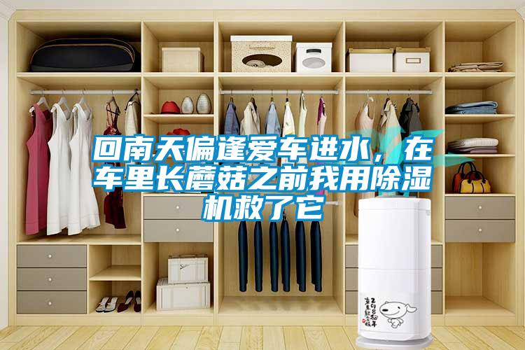 回南天偏逢愛車進(jìn)水，在車?yán)镩L蘑菇之前我用除濕機救了它