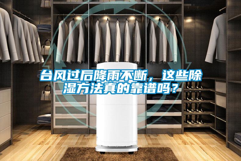 臺風過后降雨不斷，這些除濕方法真的靠譜嗎？