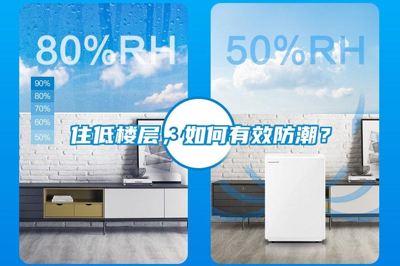 住低樓層，如何有效防潮？