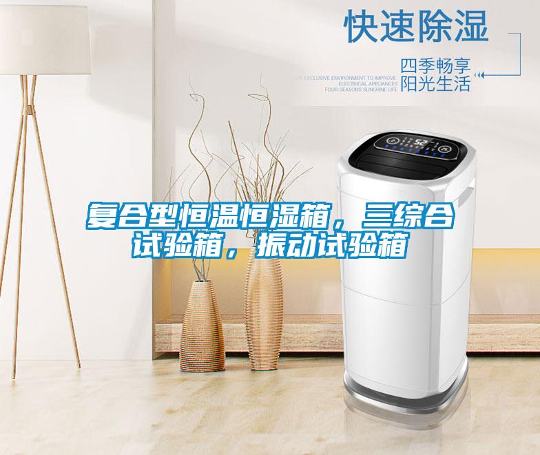 復(fù)合型恒溫恒濕箱，三綜合試驗(yàn)箱，振動試驗(yàn)箱