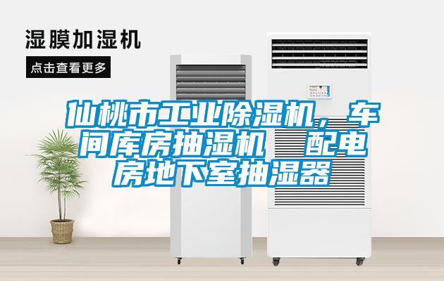 仙桃市工業(yè)除濕機(jī)，車間庫房抽濕機(jī)  配電房地下室抽濕器