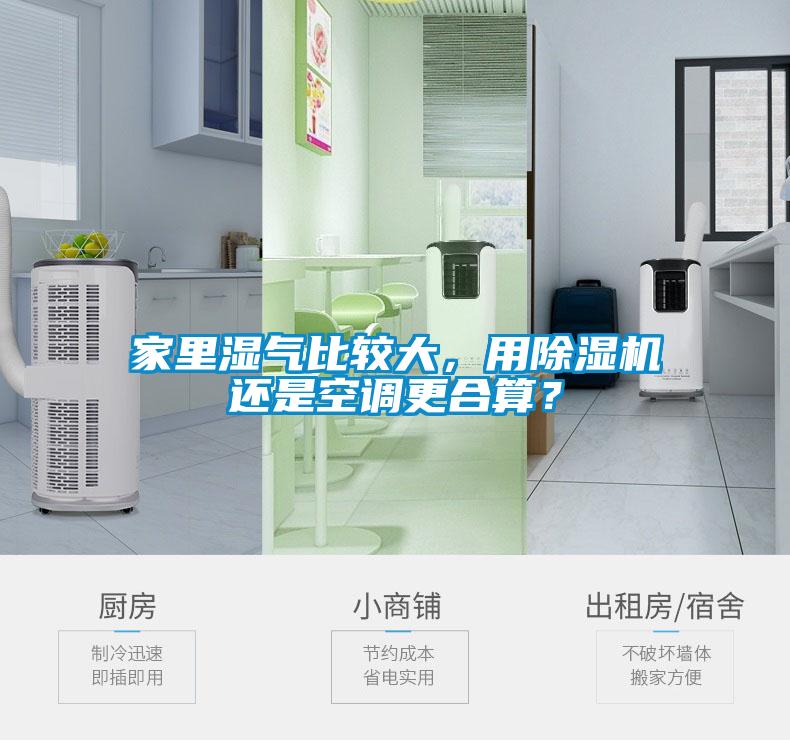 家里濕氣比較大，用除濕機還是空調更合算？
