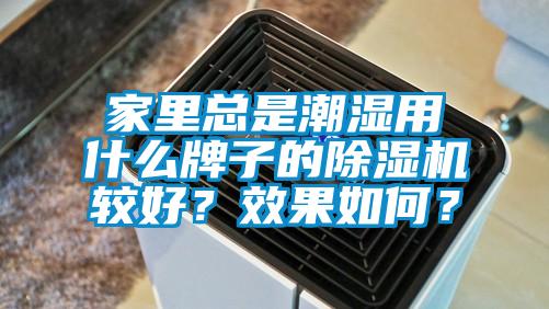 家里總是潮濕用什么牌子的除濕機較好？效果如何？