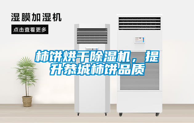 柿餅烘干除濕機，提升恭城柿餅品質(zhì)