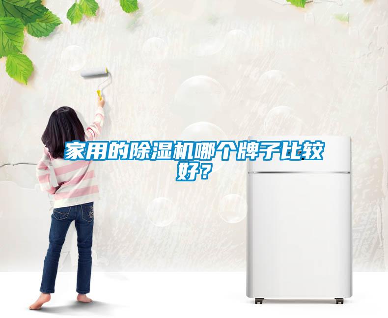 家用的除濕機哪個牌子比較好？