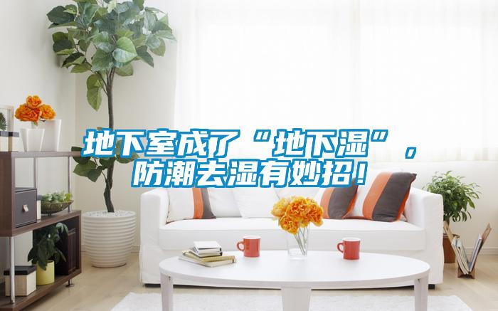 地下室成了“地下濕”，防潮去濕有妙招！