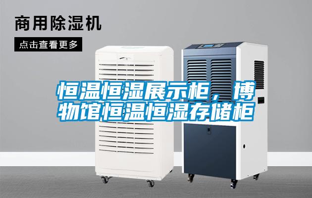 恒溫恒濕展示柜，博物館恒溫恒濕存儲(chǔ)柜