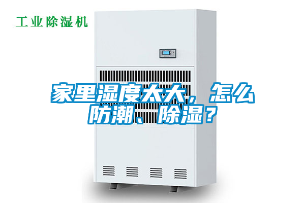 家里濕度太大，怎么防潮、除濕？