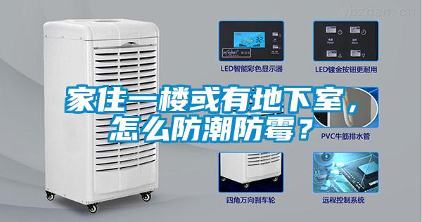 家住一樓或有地下室，怎么防潮防霉？