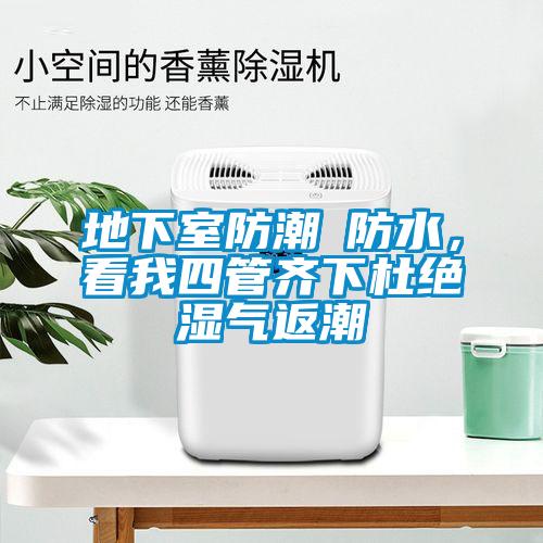 地下室防潮≠防水，看我四管齊下杜絕濕氣返潮