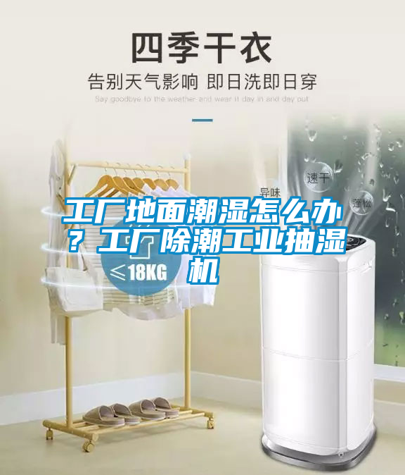 工廠地面潮濕怎么辦？工廠除潮工業(yè)抽濕機(jī)