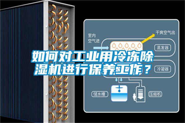 如何對工業(yè)用冷凍除濕機進行保養(yǎng)工作？