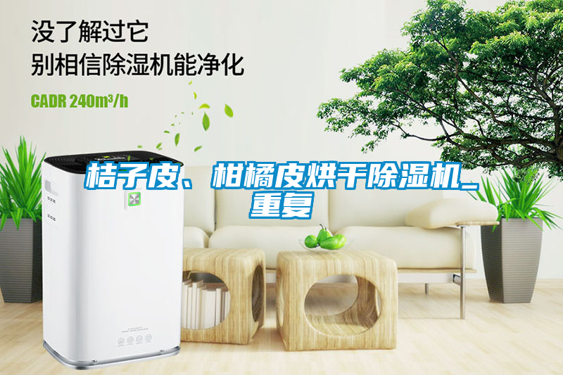 桔子皮、柑橘皮烘干除濕機_重復(fù)