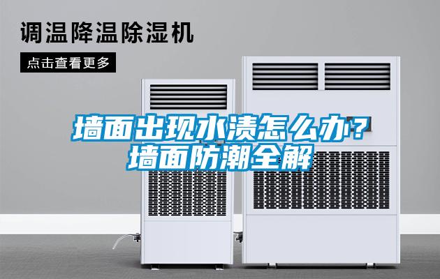 墻面出現(xiàn)水漬怎么辦？墻面防潮全解