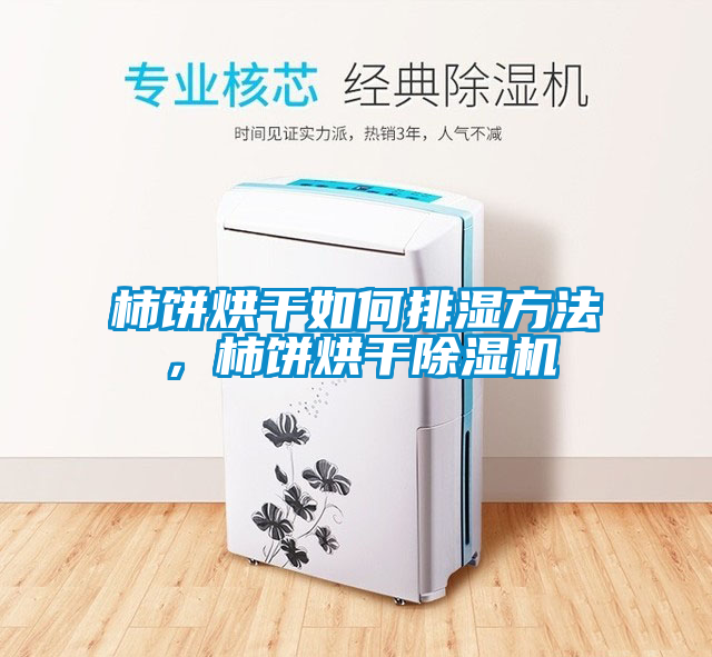 柿餅烘干如何排濕方法，柿餅烘干除濕機(jī)