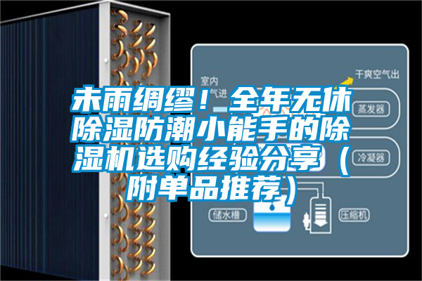 未雨綢繆！全年無(wú)休除濕防潮小能手的除濕機(jī)選購(gòu)經(jīng)驗(yàn)分享（附單品推薦）