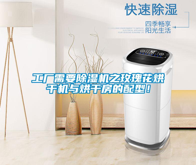 工廠需要除濕機(jī)之玫瑰花烘干機(jī)與烘干房的配型！