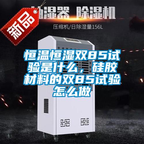 恒溫恒濕雙85試驗是什么，硅膠材料的雙85試驗怎么做