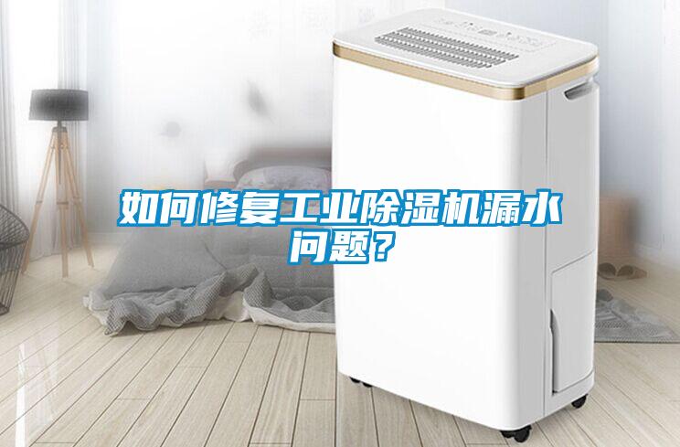 如何修復(fù)工業(yè)除濕機(jī)漏水問題？