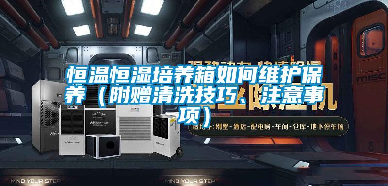 恒溫恒濕培養(yǎng)箱如何維護(hù)保養(yǎng)（附贈(zèng)清洗技巧、注意事項(xiàng)）