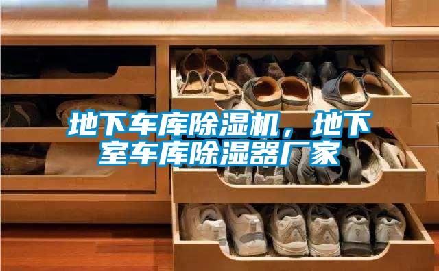 地下車庫除濕機，地下室車庫除濕器廠家