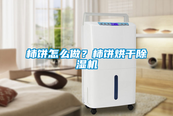 柿餅怎么做？柿餅烘干除濕機(jī)
