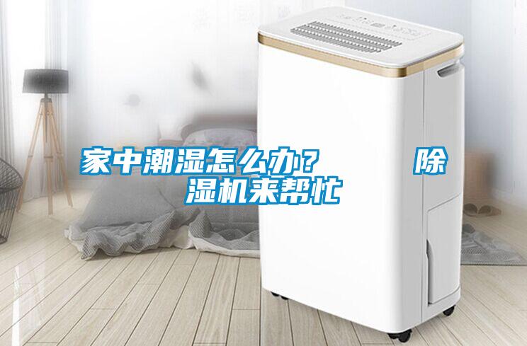家中潮濕怎么辦？    除濕機(jī)來幫忙
