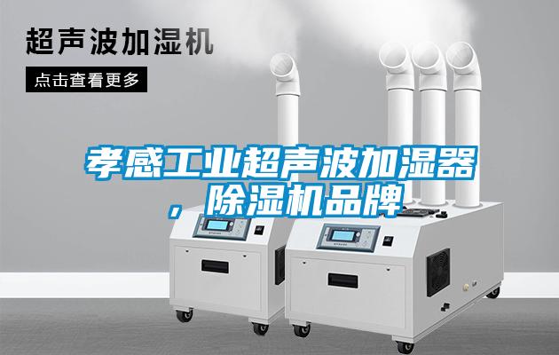 孝感工業(yè)超聲波加濕器，除濕機(jī)品牌