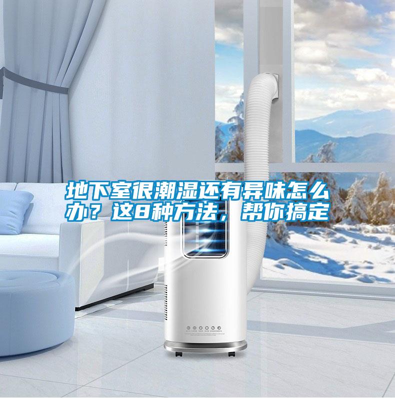 地下室很潮濕還有異味怎么辦？這8種方法，幫你搞定