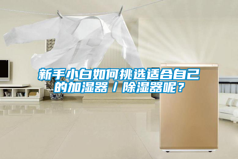 新手小白如何挑選適合自己的加濕器／除濕器呢？