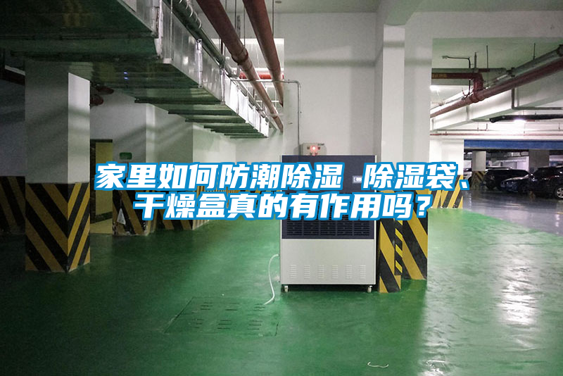 家里如何防潮除濕 除濕袋、干燥盒真的有作用嗎？