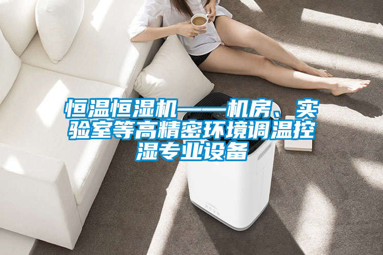 恒溫恒濕機(jī)——機(jī)房、實(shí)驗(yàn)室等高精密環(huán)境調(diào)溫控濕專業(yè)設(shè)備