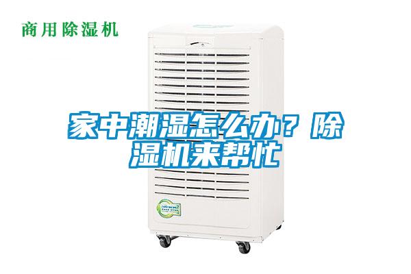 家中潮濕怎么辦？除濕機來幫忙