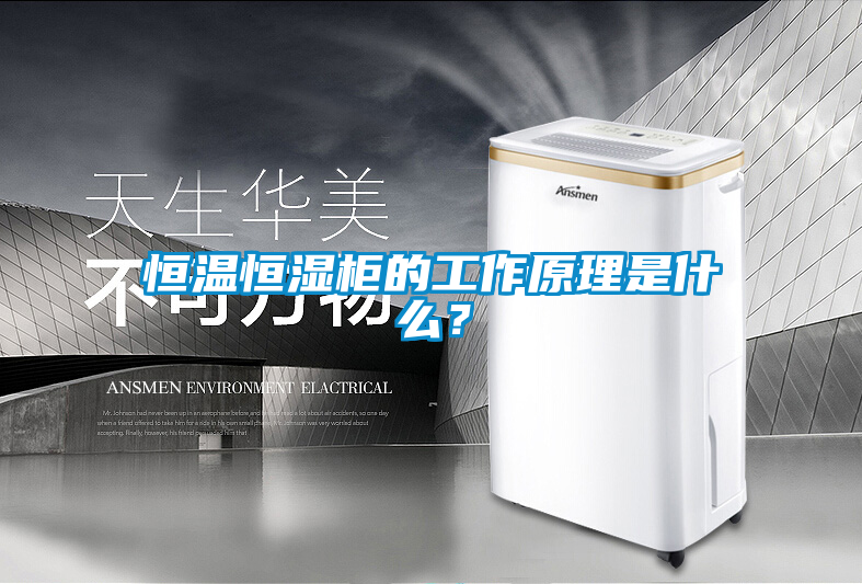 恒溫恒濕柜的工作原理是什么？