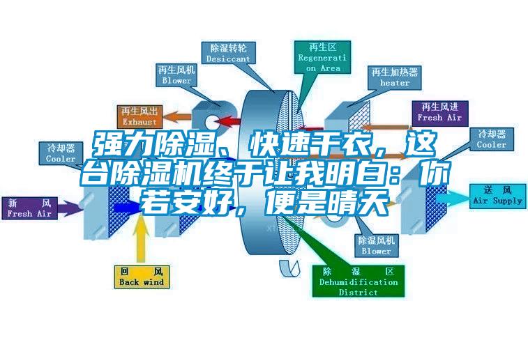 強力除濕、快速干衣，這臺除濕機終于讓我明白：你若安好，便是晴天
