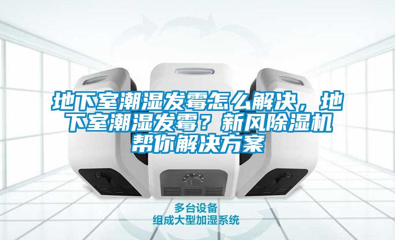 地下室潮濕發(fā)霉怎么解決，地下室潮濕發(fā)霉？新風(fēng)除濕機幫你解決方案