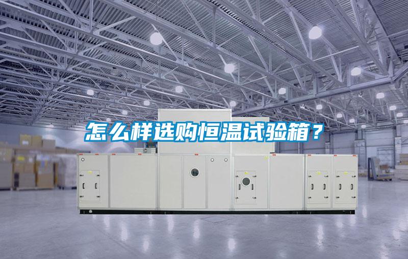 怎么樣選購恒溫試驗箱？