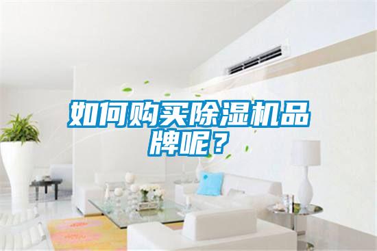 如何購(gòu)買(mǎi)除濕機(jī)品牌呢？