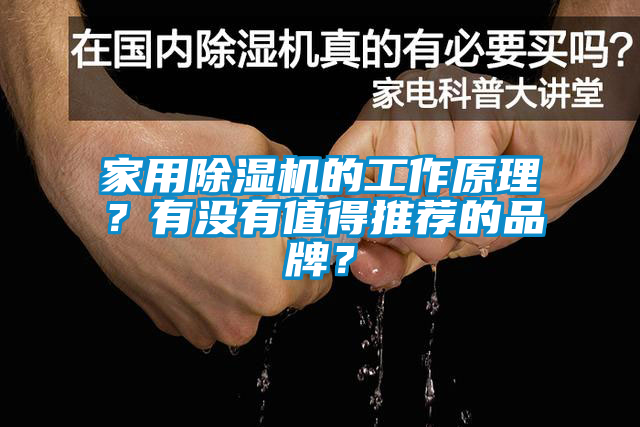 家用除濕機(jī)的工作原理？有沒(méi)有值得推薦的品牌？