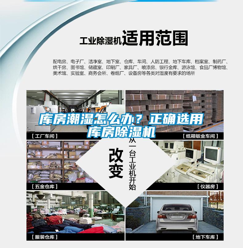 庫房潮濕怎么辦？正確選用庫房除濕機