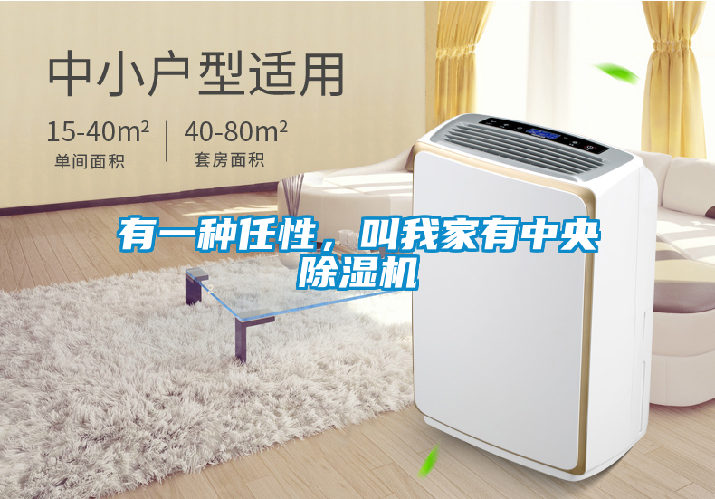 有一種任性，叫我家有中央除濕機