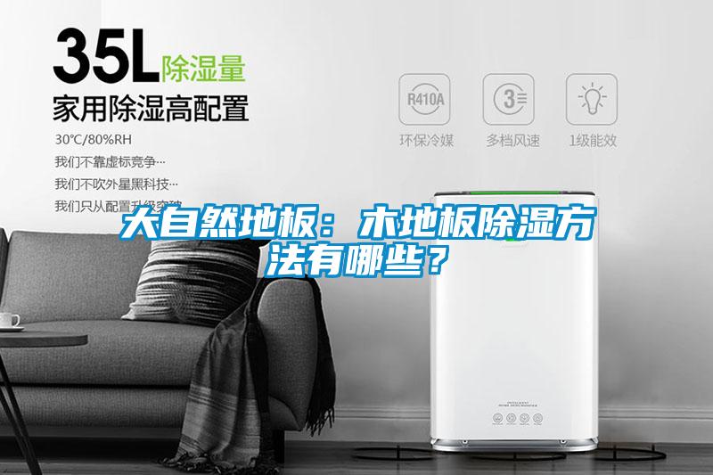 大自然地板：木地板除濕方法有哪些？