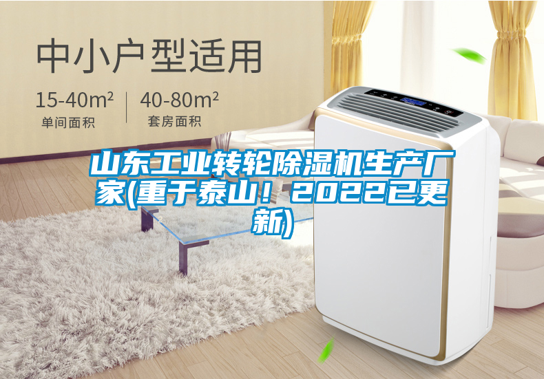 山東工業(yè)轉(zhuǎn)輪除濕機生產(chǎn)廠家(重于泰山！2022已更新)