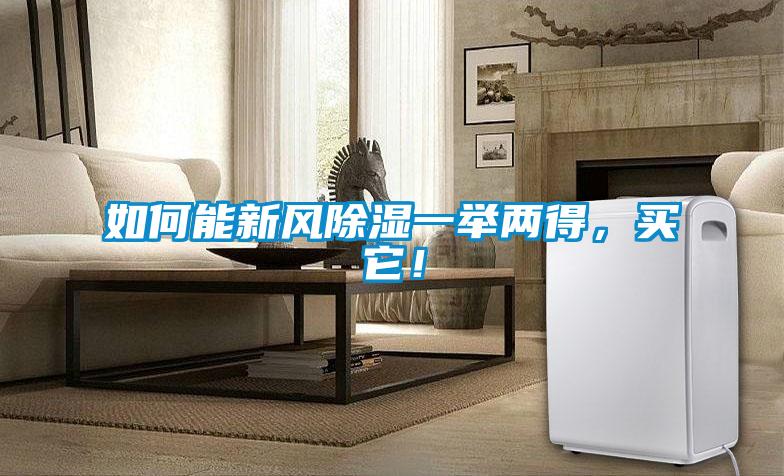 如何能新風除濕一舉兩得，買它！