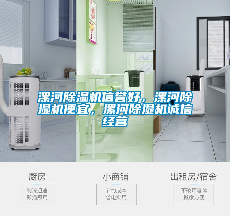 漯河除濕機信譽好，漯河除濕機便宜，漯河除濕機誠信經(jīng)營