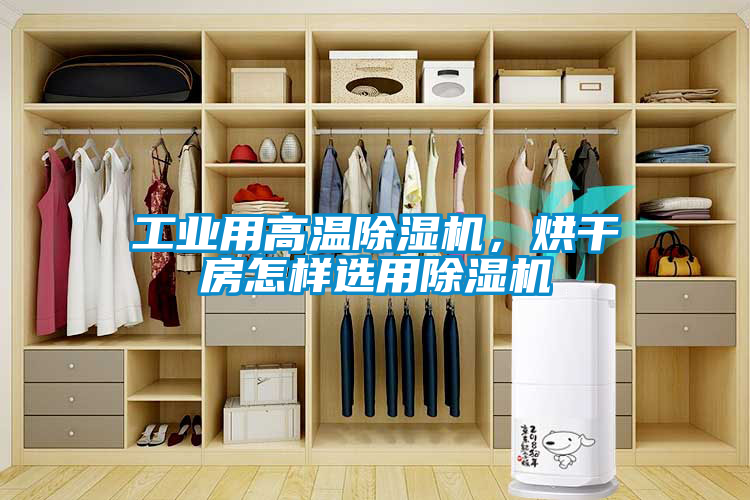 工業(yè)用高溫除濕機，烘干房怎樣選用除濕機